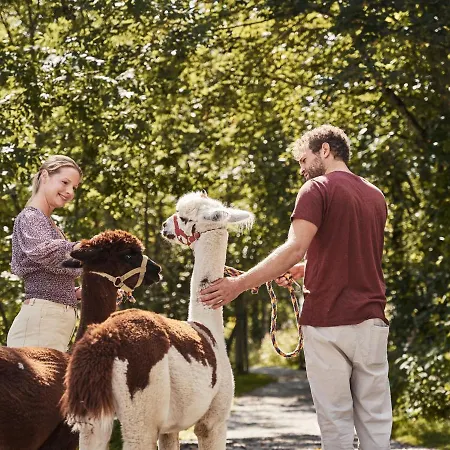 Aja Bergresort 4* Werfenweng